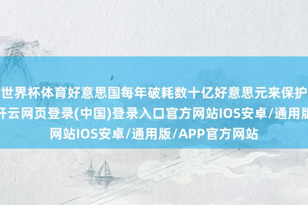 世界杯体育好意思国每年破耗数十亿好意思元来保护和扶植以色列-开云网页登录(中国)登录入口官方网站IOS安卓/通用版/APP官方网站